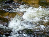  (C) 2012 by G. Doczkal, 
Wildes Wasser, 
48.717469°N/8.244627°E, Malschbach, Baden-Wuerttemberg, Germany