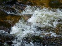  (C) 2012 by G. Doczkal, 
Wildes Wasser, 
48.717469°N/8.244627°E, Malschbach, Baden-Wuerttemberg, Germany