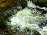  (C) 2012 by G. Doczkal, 
Wildes Wasser, 
48.717286°N/8.244754°E, Malschbach, Baden-Wuerttemberg, Germany