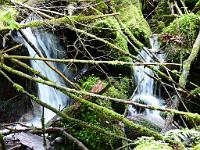  (C) 2012 by G. Doczkal, 
Wildes Wasser, 
48.717197°N/8.245260°E, Malschbach, Baden-Wuerttemberg, Germany