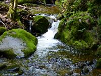  (C) 2012 by G. Doczkal, 
Wildes Wasser, 
48.717149°N/8.245277°E, Malschbach, Baden-Wuerttemberg, Germany