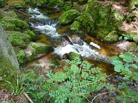  (C) 2012 by G. Doczkal, 
Wildes Wasser, 
48.716381°N/8.245031°E, Malschbach, Baden-Wuerttemberg, Germany