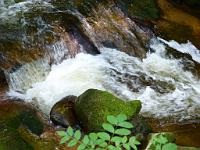  (C) 2012 by G. Doczkal, 
Wildes Wasser, 
48.716381°N/8.245022°E, Malschbach, Baden-Wuerttemberg, Germany