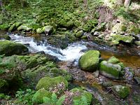  (C) 2012 by G. Doczkal, 
Wildes Wasser, 
48.716323°N/8.245035°E, Malschbach, Baden-Wuerttemberg, Germany