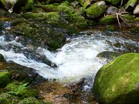  (C) 2012 by G. Doczkal, 
Wildes Wasser, 
48.716266°N/8.245155°E, Malschbach, Baden-Wuerttemberg, Germany