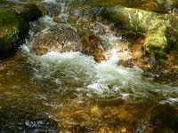  (C) 2012 by G. Doczkal, 
Wildes Wasser, 
48.715216°N/8.244812°E, Malschbach, Baden-Wuerttemberg, Germany