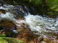  (C) 2012 by G. Doczkal, 
Wildes Wasser, 
48.715050°N/8.244733°E, Malschbach, Baden-Wuerttemberg, Germany