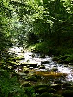  (C) 2012 by G. Doczkal, 
Der Grobbach, 
48.714310°N/8.245826°E, Malschbach, Baden-Wuerttemberg, Germany