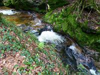  (C) 2012 by G. Doczkal, 
Wildes Wasser, 
48.712387°N/8.249692°E, Malschbach, Baden-Wuerttemberg, Germany