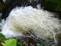  (C) 2012 by G. Doczkal, 
Wildes Wasser, 
48.712387°N/8.249692°E, Malschbach, Baden-Wuerttemberg, Germany