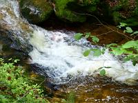  (C) 2012 by G. Doczkal, 
Wildes Wasser, 
48.712390°N/8.249657°E, Malschbach, Baden-Wuerttemberg, Germany