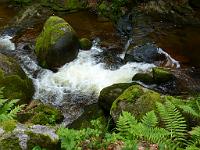  (C) 2012 by G. Doczkal, 
Wildes Wasser, 
48.711789°N/8.249086°E, Malschbach, Baden-Wuerttemberg, Germany
