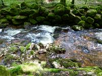  (C) 2012 by G. Doczkal, 
Wildes Wasser, 
48.709798°N/8.248934°E, Malschbach, Baden-Wuerttemberg, Germany