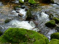  (C) 2012 by G. Doczkal, 
Wildes Wasser, 
48.709789°N/8.248954°E, Malschbach, Baden-Wuerttemberg, Germany
