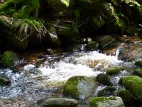  (C) 2012 by G. Doczkal, 
Wildes Wasser, 
48.709782°N/8.248959°E, Malschbach, Baden-Wuerttemberg, Germany