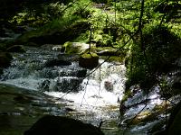  (C) 2012 by G. Doczkal, 
Wildes Wasser, 
48.707728°N/8.250003°E, Malschbach, Baden-Wuerttemberg, Germany