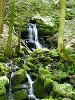  (C) 2012 by G. Doczkal, 
Wildes Wasser, 
48.706874°N/8.250982°E, Malschbach, Baden-Wuerttemberg, Germany